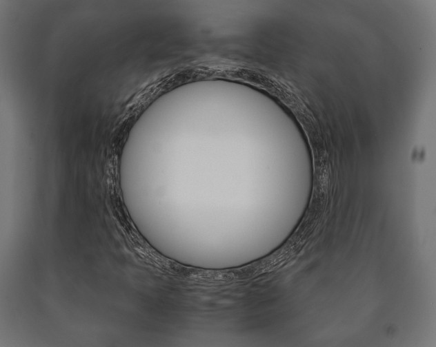 X0000090991397200708021153