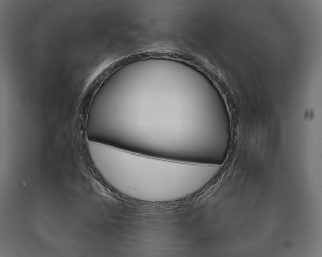 X0000090991400200708021153