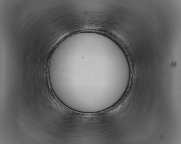 X0000090991401200708021153