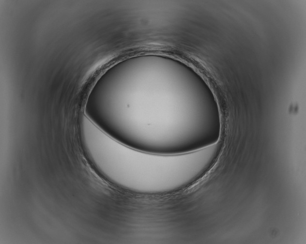 X0000090991402200708021153