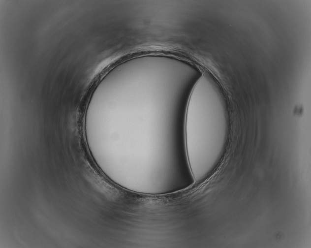 X0000090991404200708021153