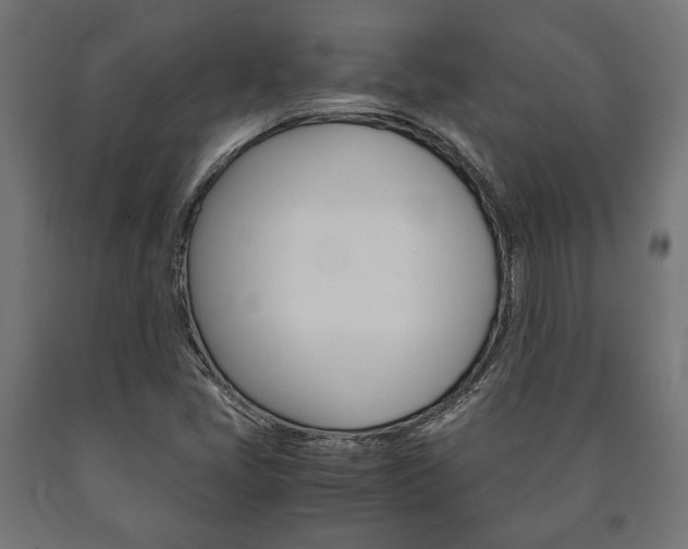 X0000090991405200708021153
