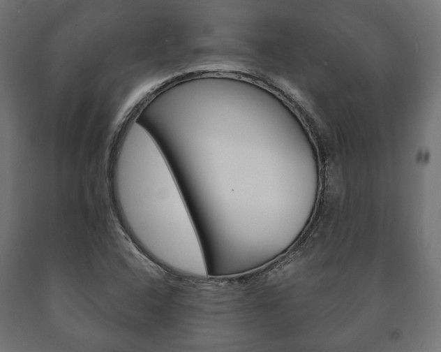 X0000090991408200708021153