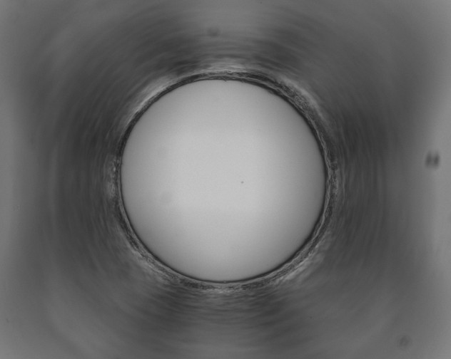 X0000090991409200708021153