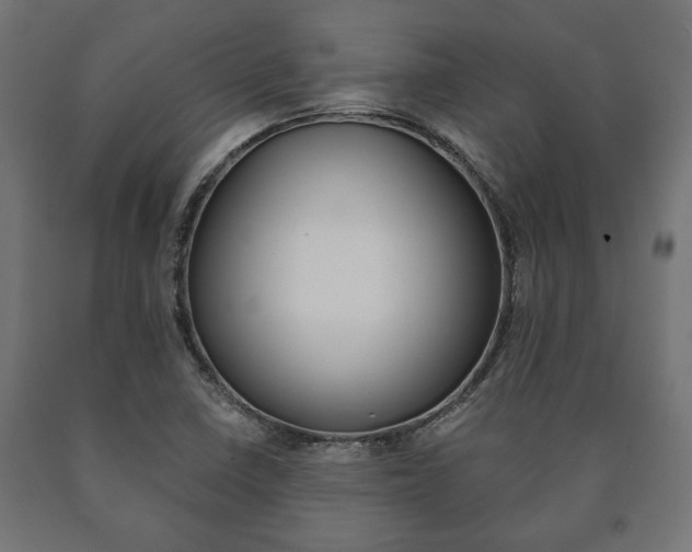 X0000090991410200708021153
