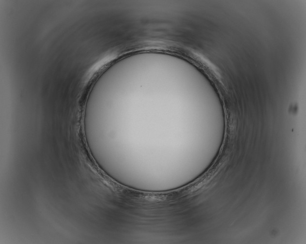 X0000090991411200708021153