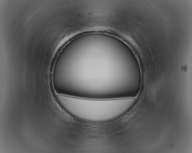 X0000090991412200708021153
