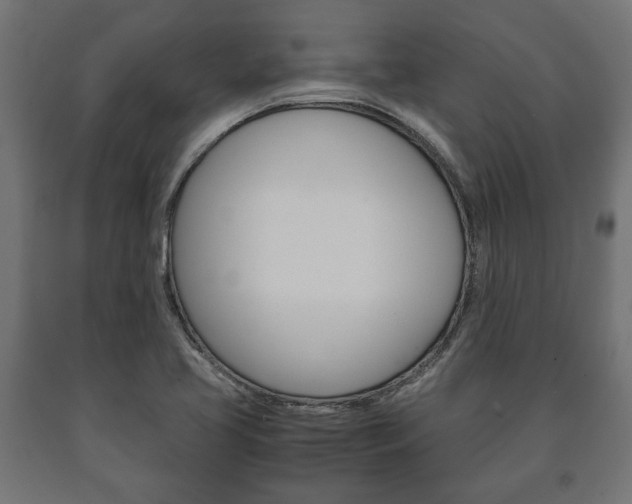 X0000090991413200708021153