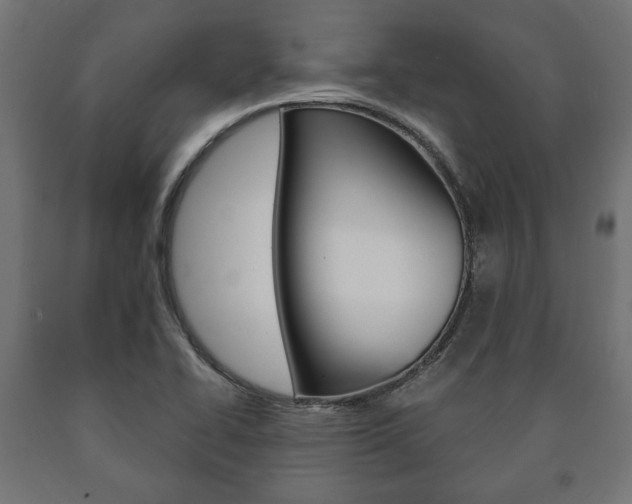 X0000090991414200708021153