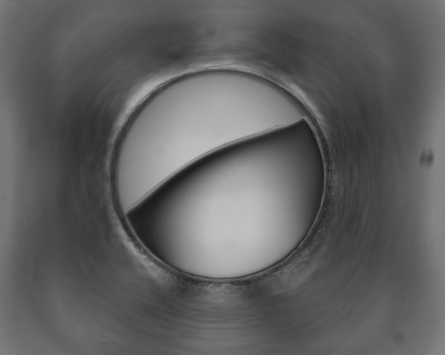 X0000090991416200708021153