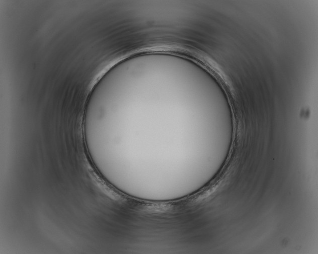X0000090991417200708021153