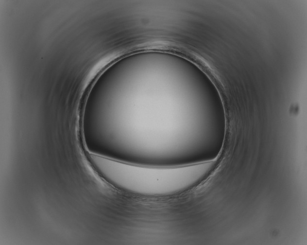 X0000090991418200708021153