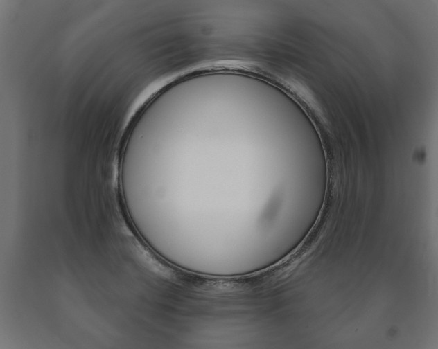 X0000090991420200708021153