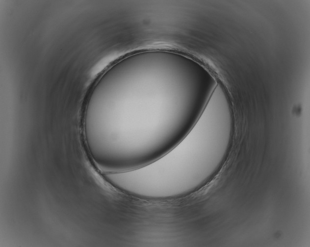 X0000090991422200708021153