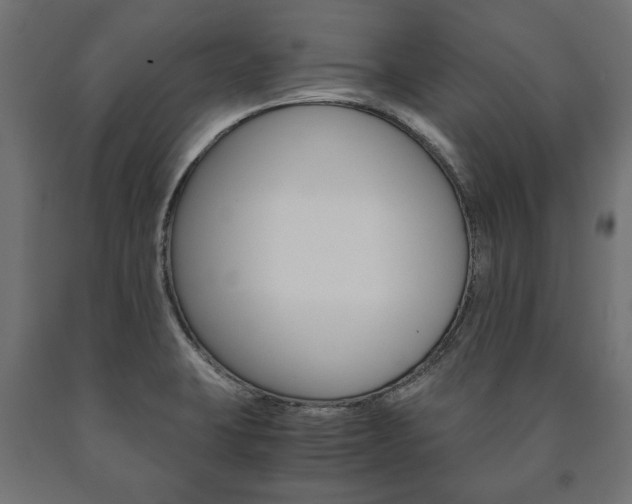 X0000090991423200708021153