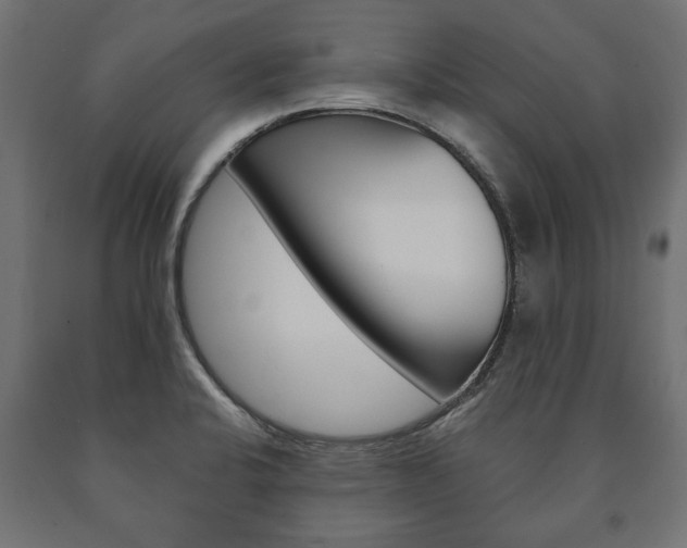 X0000090991424200708021153
