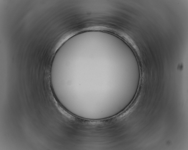 X0000090991425200708021153