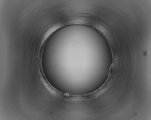 X0000090991426200708021153