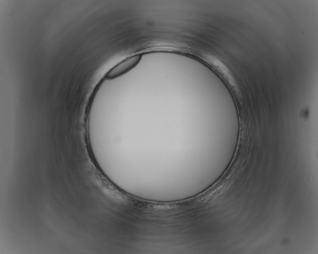 X0000090991427200708021153