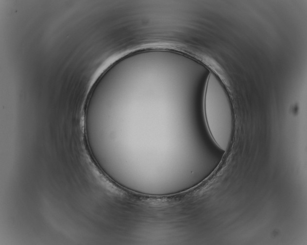 X0000090991428200708021153