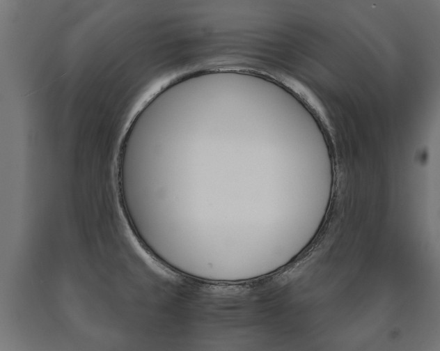 X0000090991429200708021153