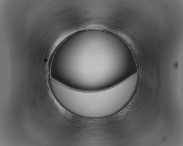 X0000090991430200708021153