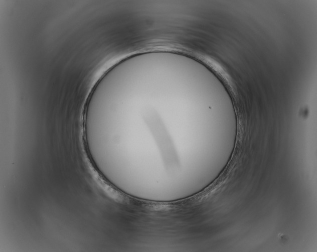 X0000090991431200708021153