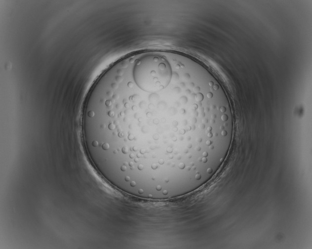 X0000090991432200708021153