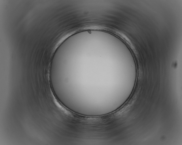 X0000090991433200708021153