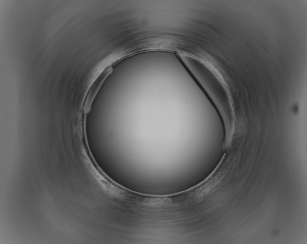 X0000090991434200708021153