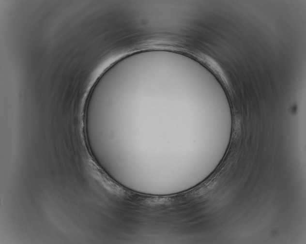 X0000090991435200708021153