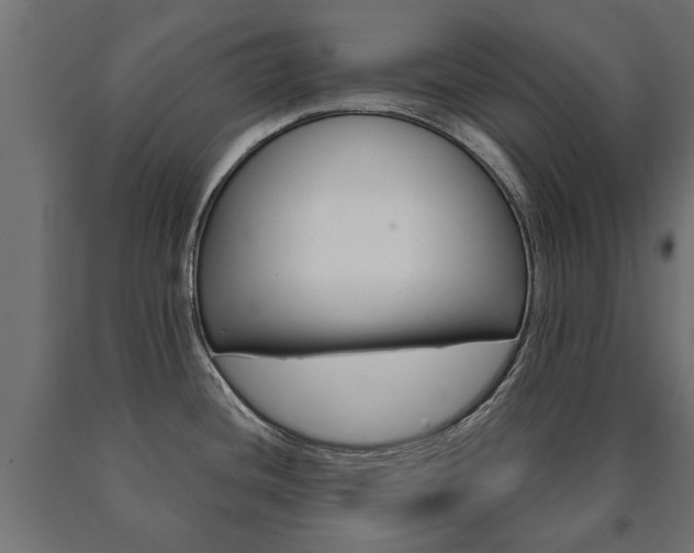 X0000090991436200708021153