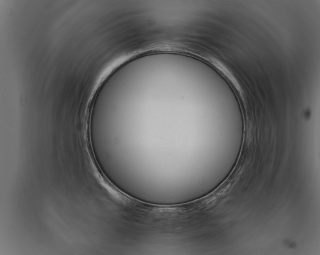 X0000090991437200708021153