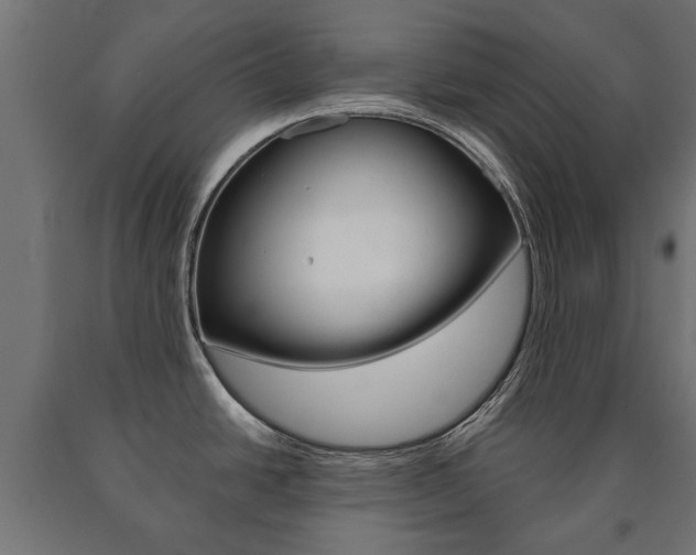 X0000090991438200708021153