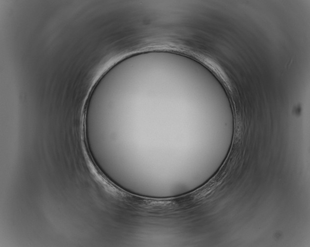X0000090991439200708021153