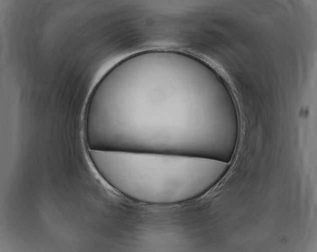 X0000090991440200708021153