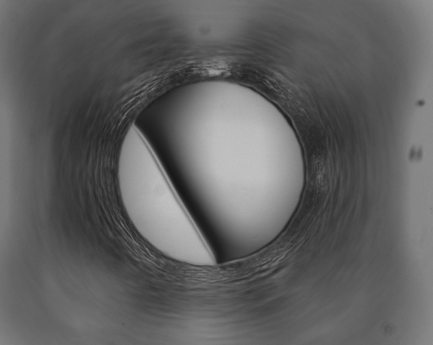 X0000090991442200708021153