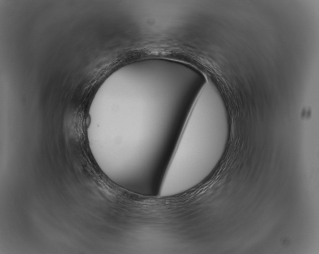 X0000090991444200708021153