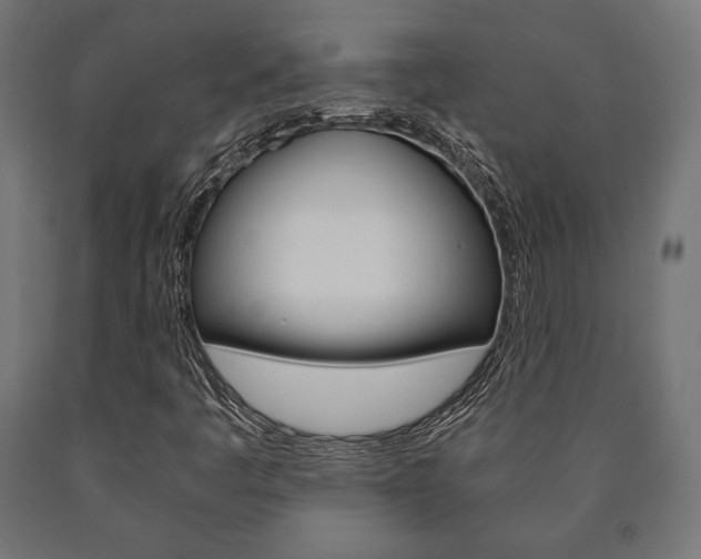 X0000090991445200708021153