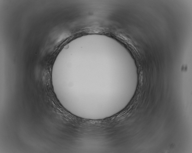 X0000090991446200708021152