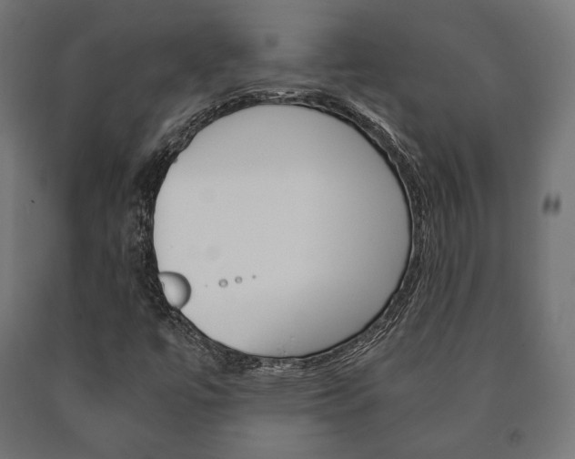 X0000090991447200708021152