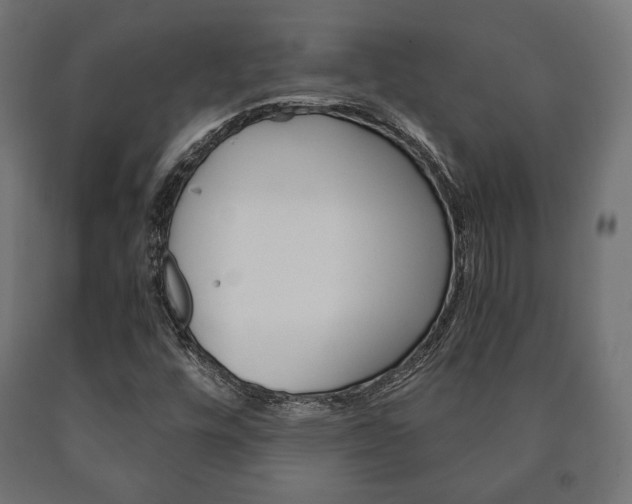X0000090991448200708021152