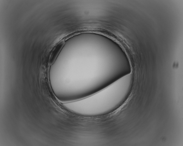X0000090991449200708021152