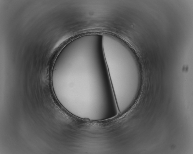 X0000090991450200708021152
