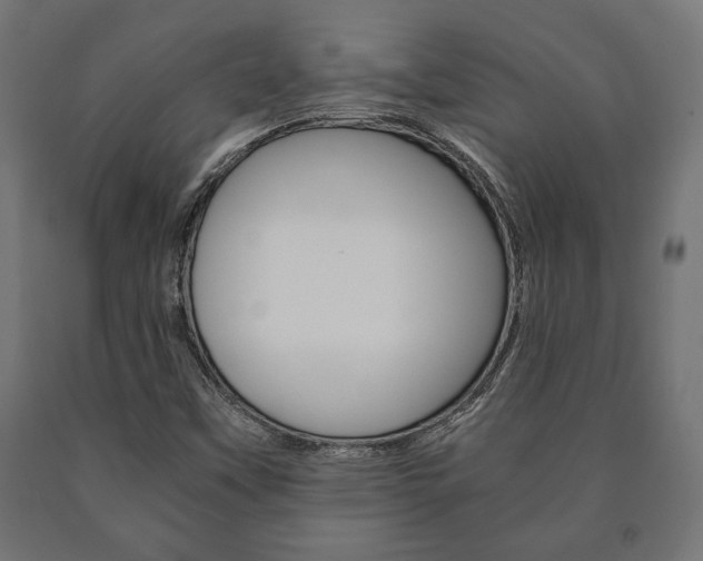 X0000090991451200708021152