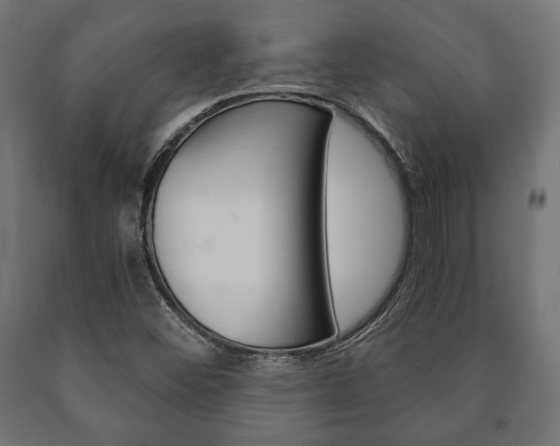 X0000090991452200708021152