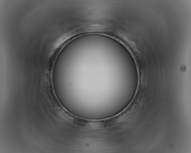 X0000090991453200708021152
