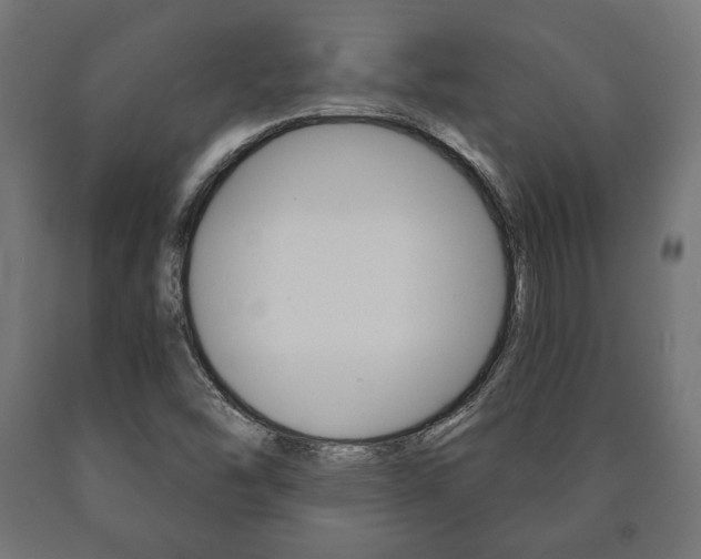 X0000090991454200708021152