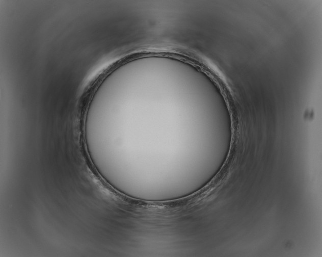 X0000090991456200708021152