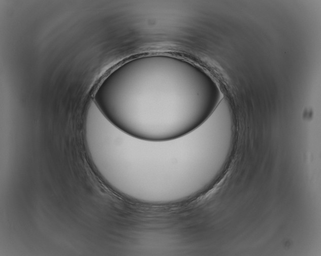X0000090991457200708021152